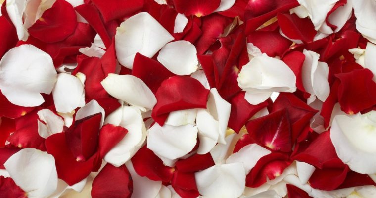 Як приготувати варення з пелюсток троянди